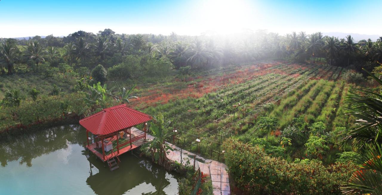Parkresort - Organic Farm Resort Kala Pathar Beach المظهر الخارجي الصورة