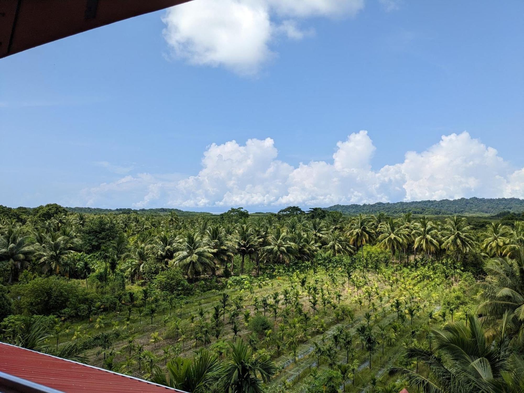 Parkresort - Organic Farm Resort Kala Pathar Beach المظهر الخارجي الصورة